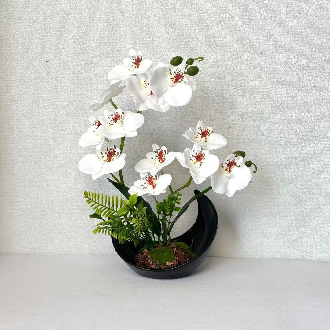 Lebensechte Orchideenblütenanzeige