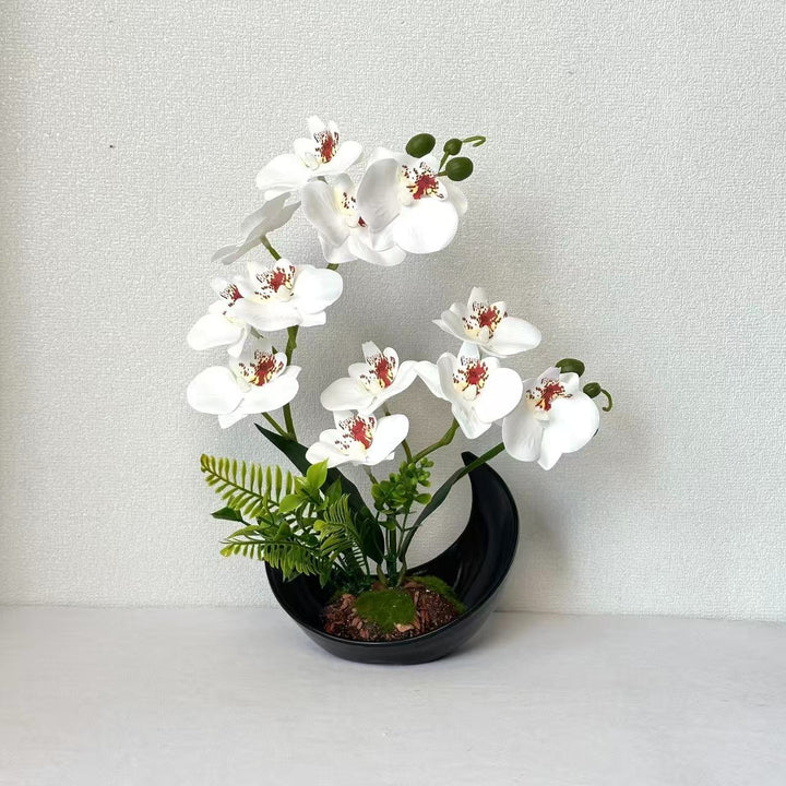 Lebensechte Orchideenblütenanzeige