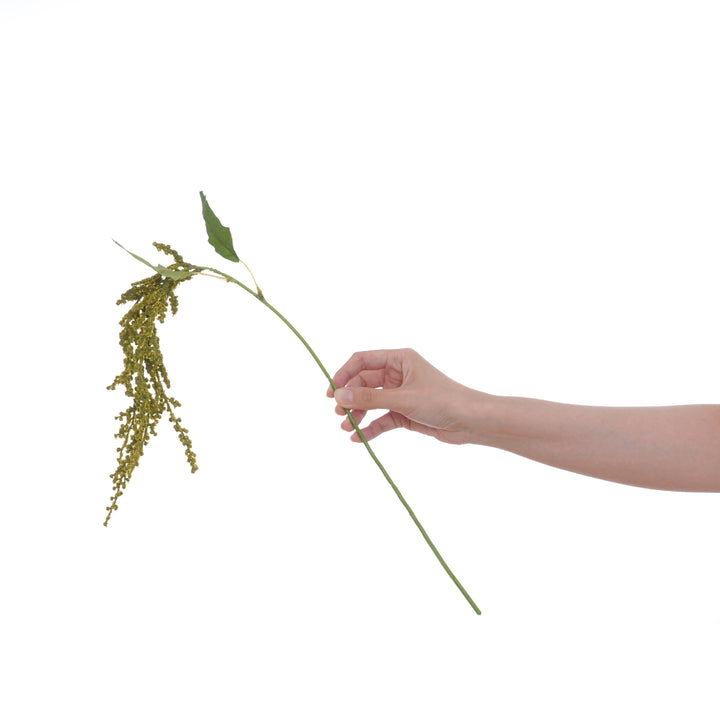 Dekorative grüne Blumenstängel