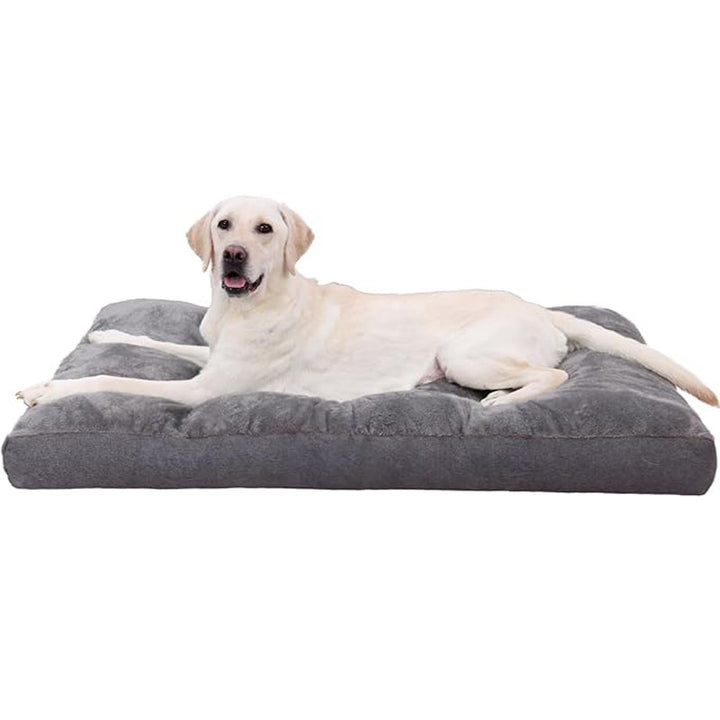 Luxuriöse Orthopädische Hundematratze   Hundebett