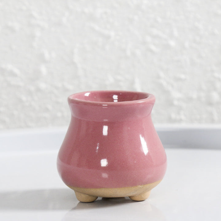 Miniatur Dekorativer Blumentopf Karnz