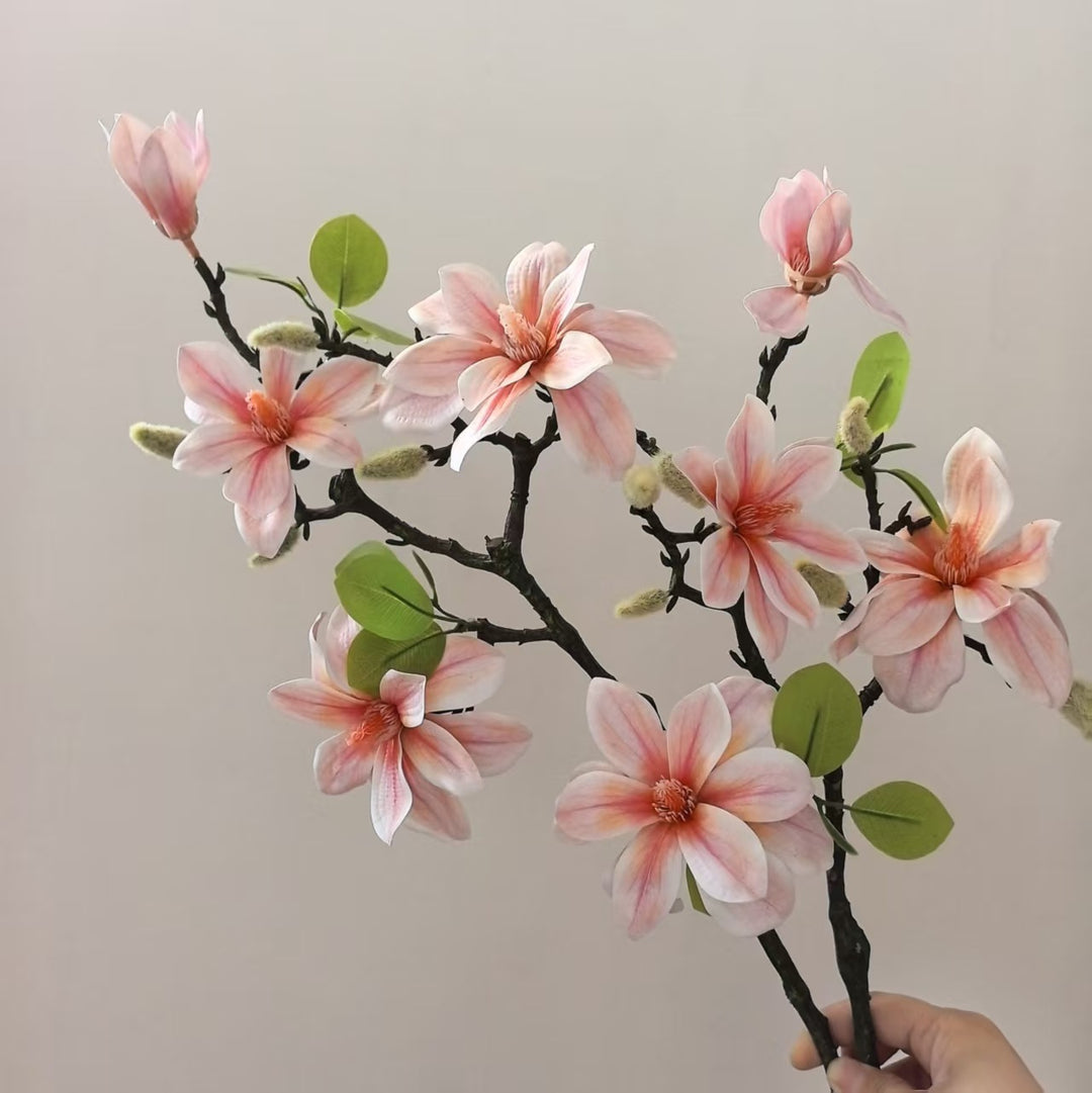 Elegante Magnolienstängel