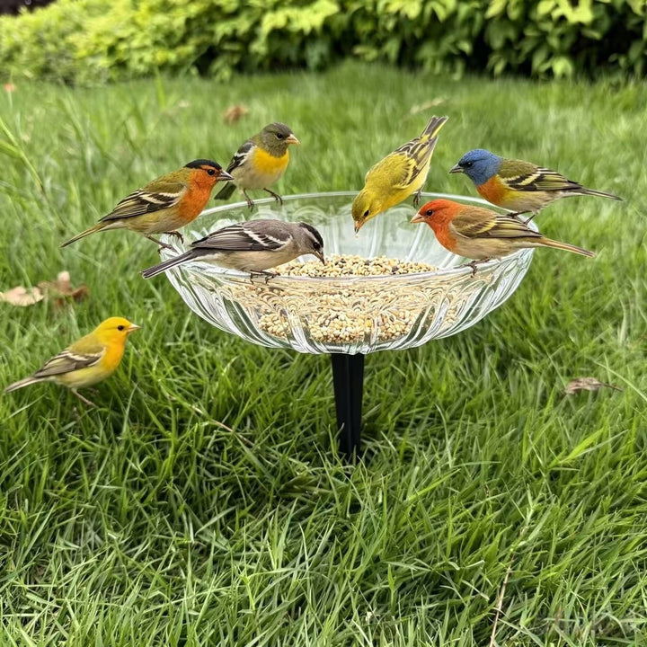 Elegante Vogel-Fütterungsstation Karnz