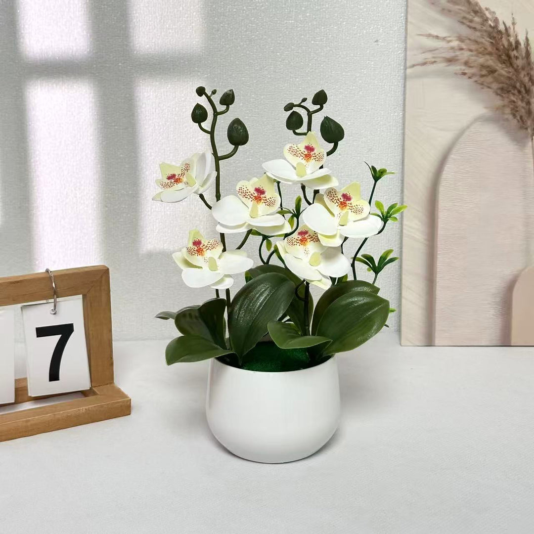Orchideen Blumenarrangement