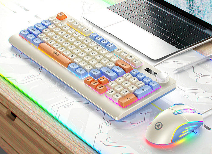 Retro RGB Mechanische Tastatur und Optische Gaming-Maus Set Karnz