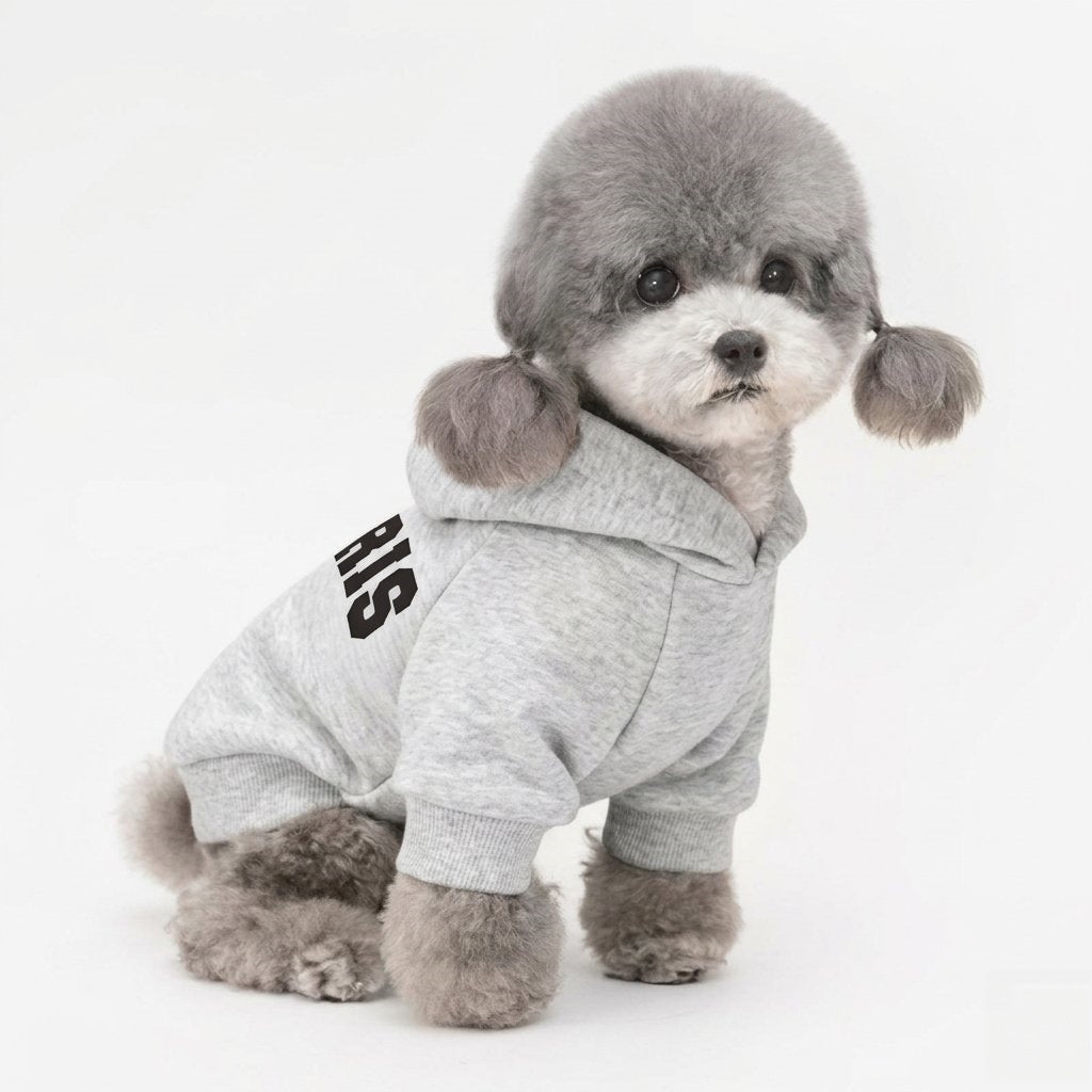 Kleiner Hund Kapuzen Baumwoll-Fleece Pullover mit Collegiate PARIS Druck