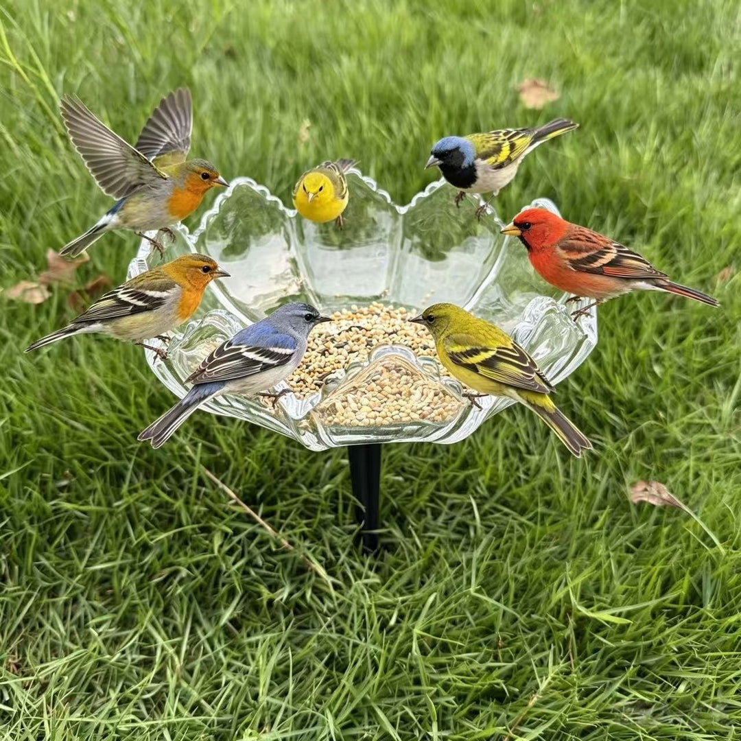 Elegante Vogel-Fütterungsstation Karnz