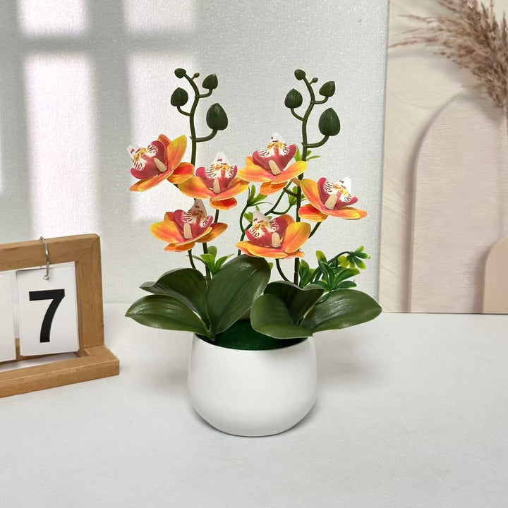Orchideen Blumenarrangement