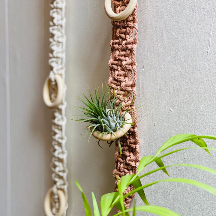 Macrame Wand Pflanzenhalter Karnz