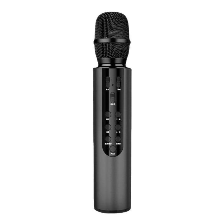 Kabelloses Karaoke-Mikrofon mit Echo-Steuerung Karnz