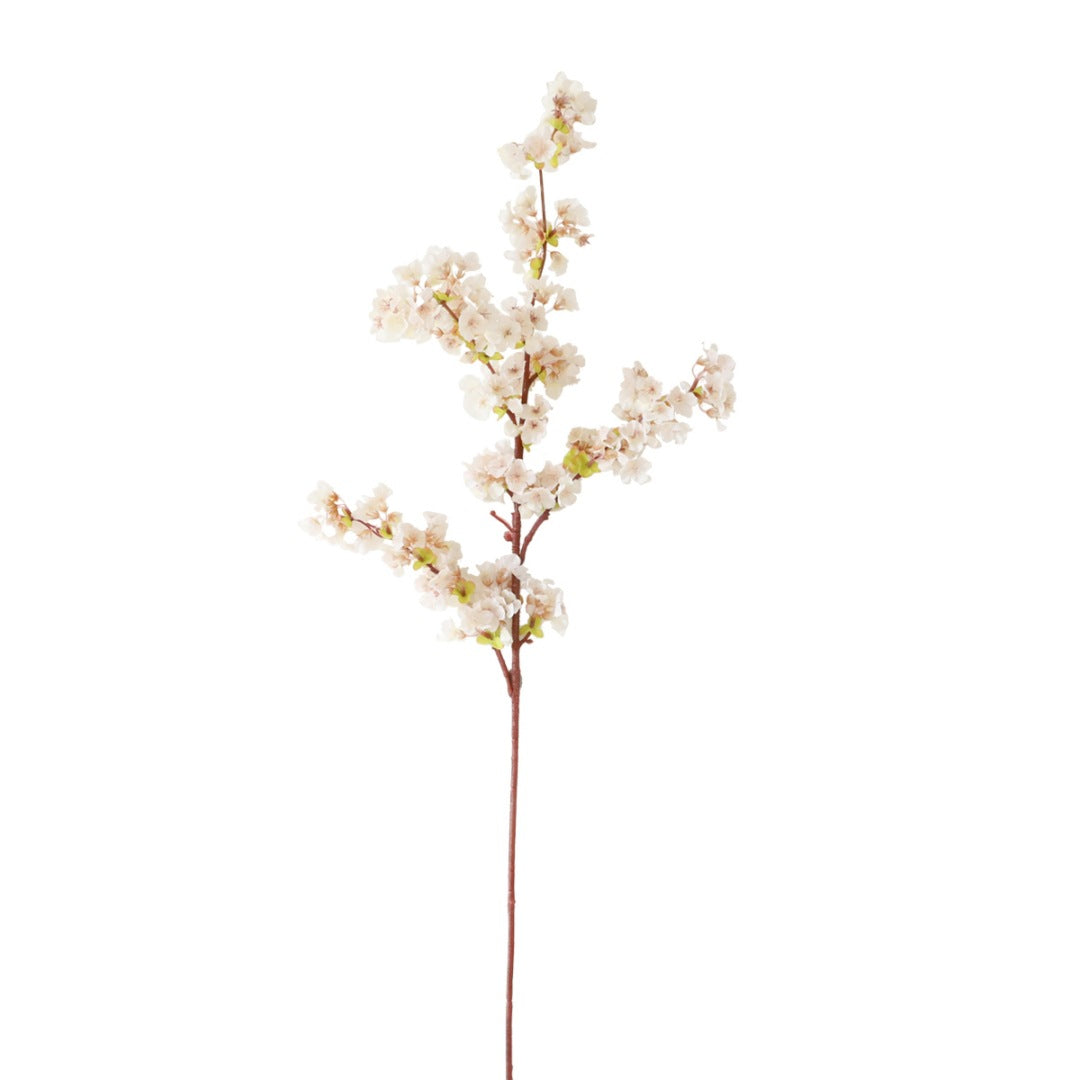 Elegante Botanische Dekoration