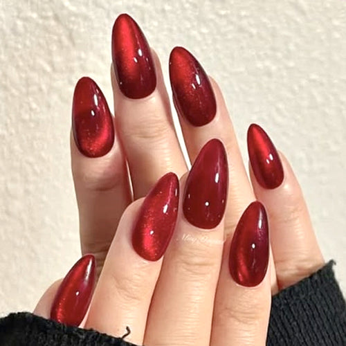 Glänzende Stiletto-Nagelerweiterungen Karnz