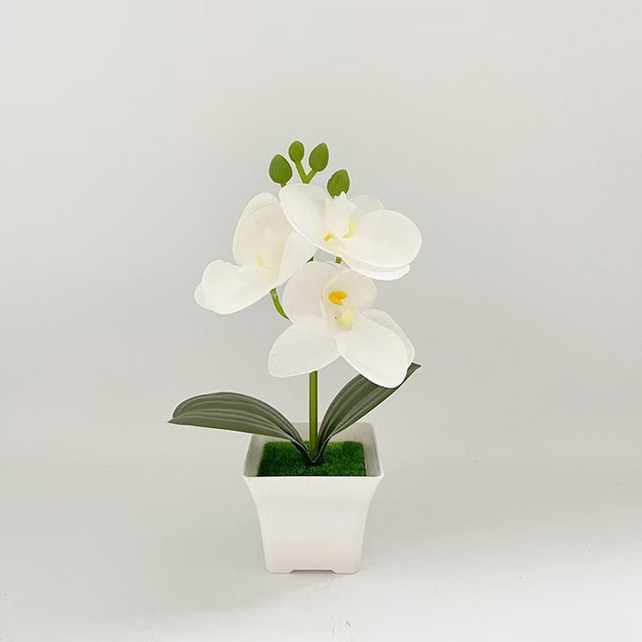 Realistische Künstliche Orchidee in dekorativem Pflanzenpot für Dekoration