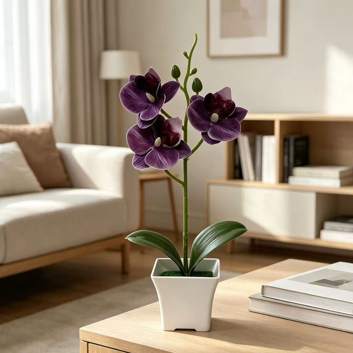 Künstliche Orchideenarrangements für Wohn- und Bürodeko