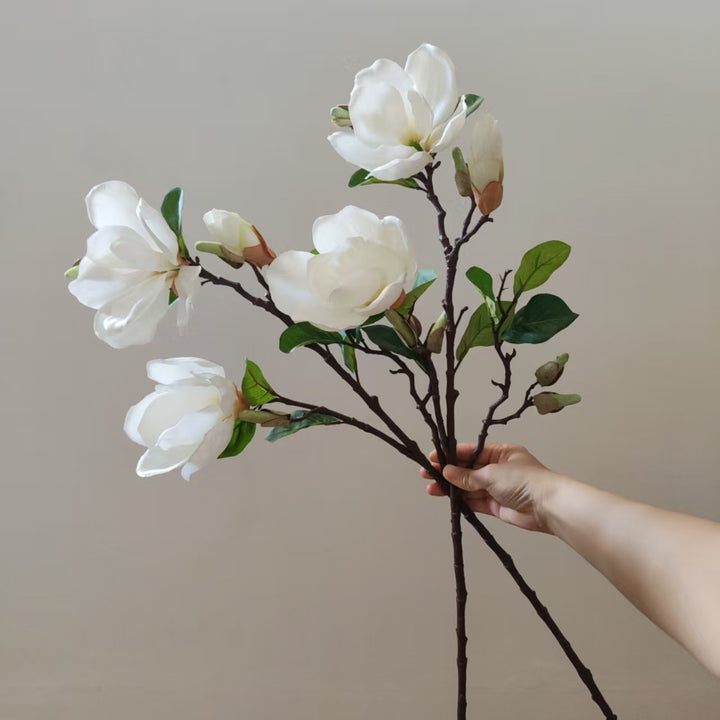 Realistische Magnolienblüte Stamm