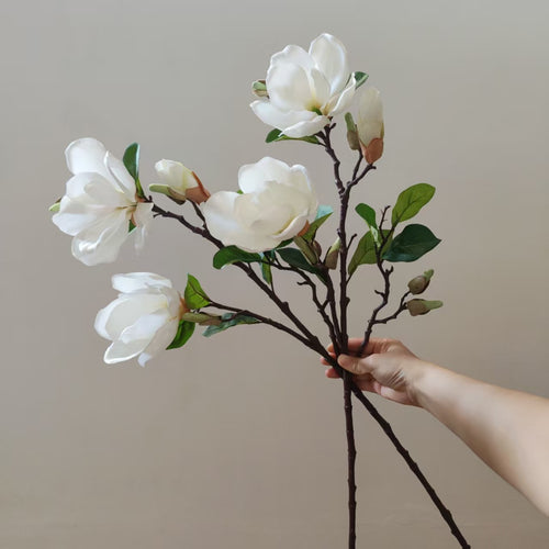 Realistische Magnolienblüte Stamm