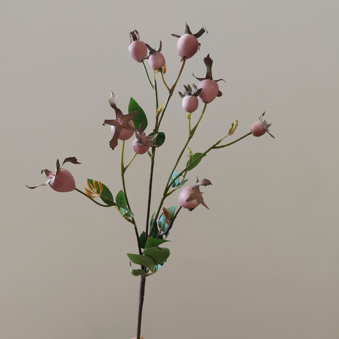 Dekorativer natürlicher getrockneter Blumenstiel