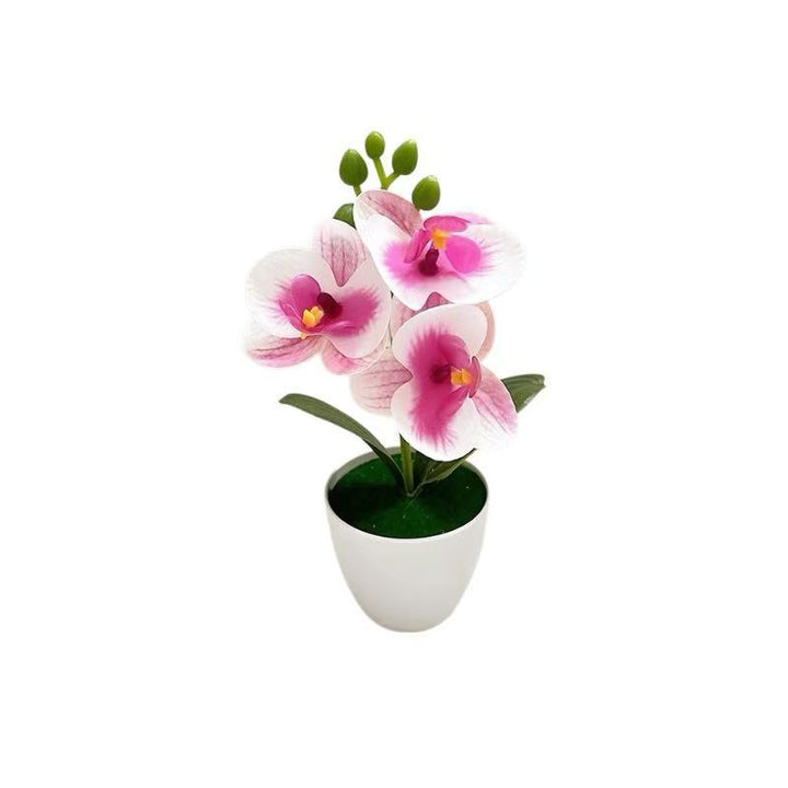 Lebensechte Orchideenblumenarrangement