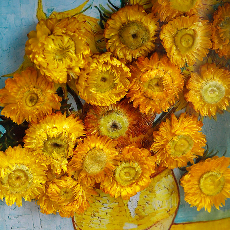 Dekorative florale Kunstpräsentation für stilvolle Innenräume