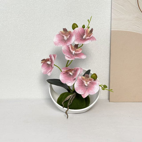 Orchideen Dekorativer Mittelpunkt