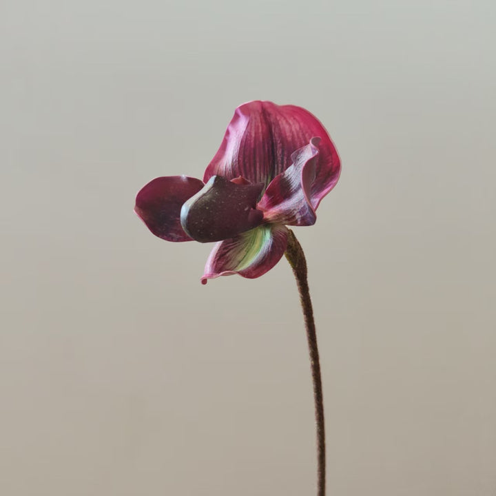 Realistische Orchideenstamm-Vase Dekoration