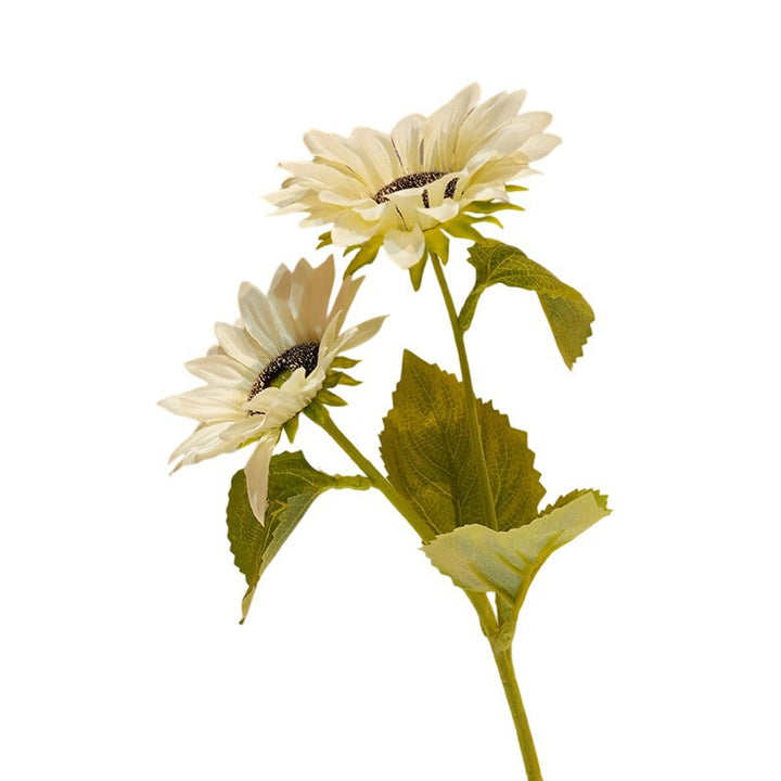 Dekorative Sonnenblume Karnz