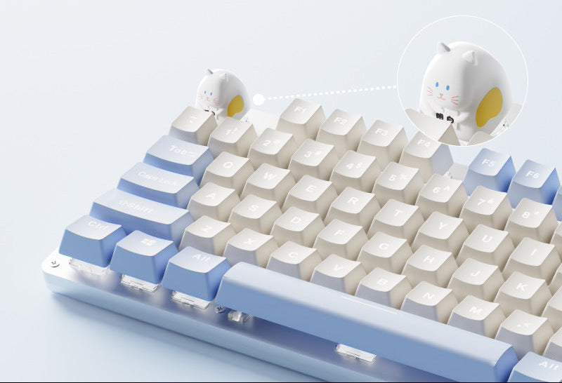 Tastaturzubehör Karnz