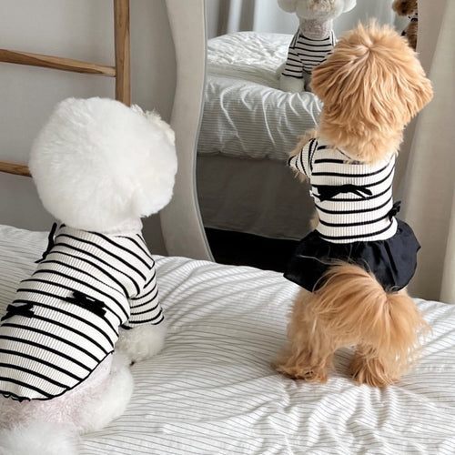Rippstrick gestreiftes Strick-Hundekleid mit Rüschensaum & Akzent