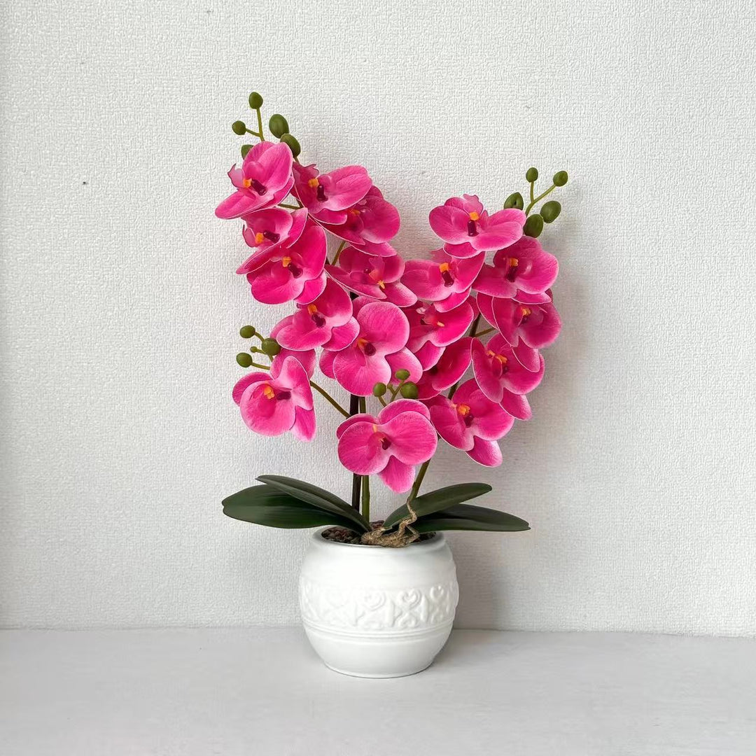 Dekorative Orchidee für Tischdekoration