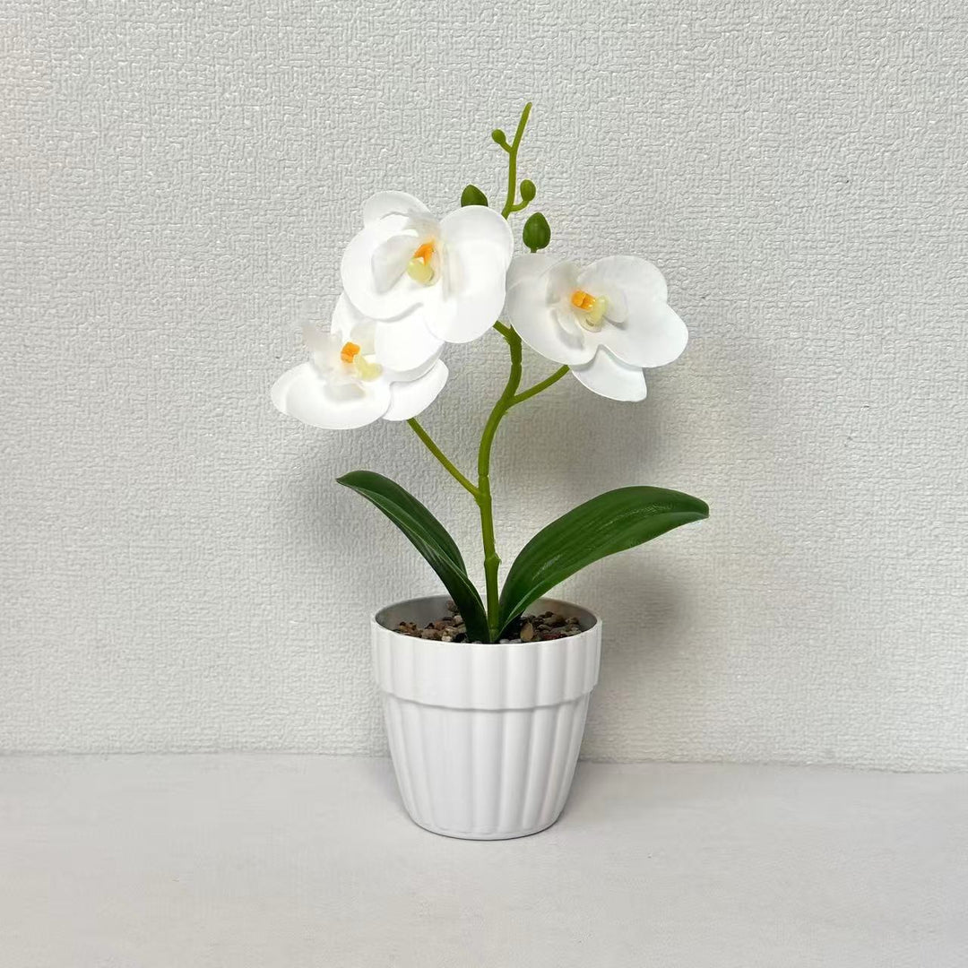 Dekorative Künstliche Orchideenarrangement für Dekorative Wohnraum Präsentation