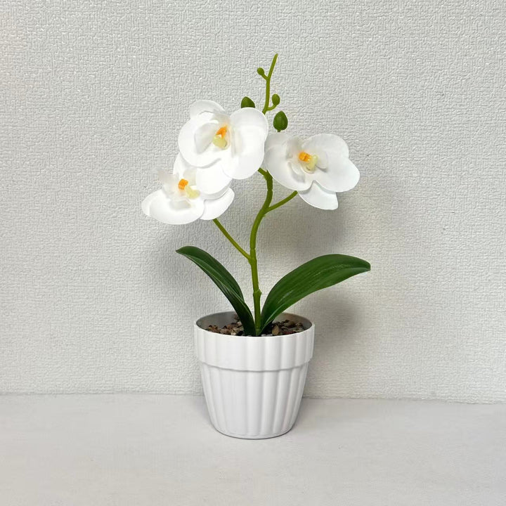 Dekorative Künstliche Orchideenarrangement für Dekorative Wohnraum Präsentation