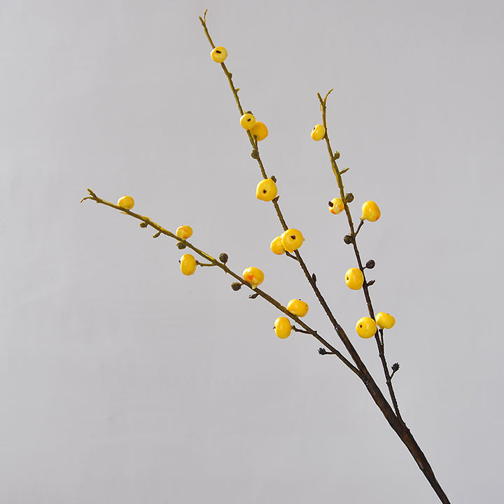 Dekorative Beerenzweig