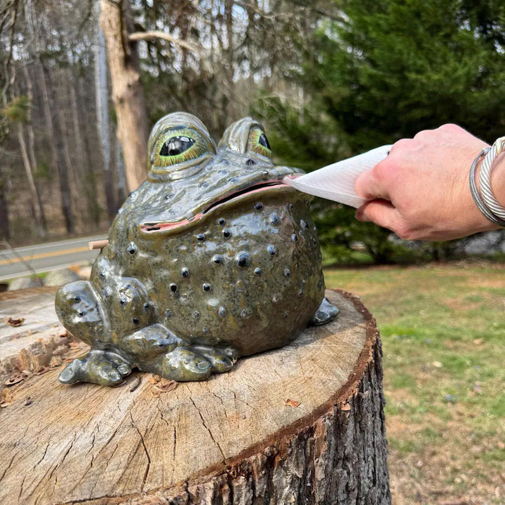 Dekorative Froschfigur mit Zahnbürstenhalter Karnz