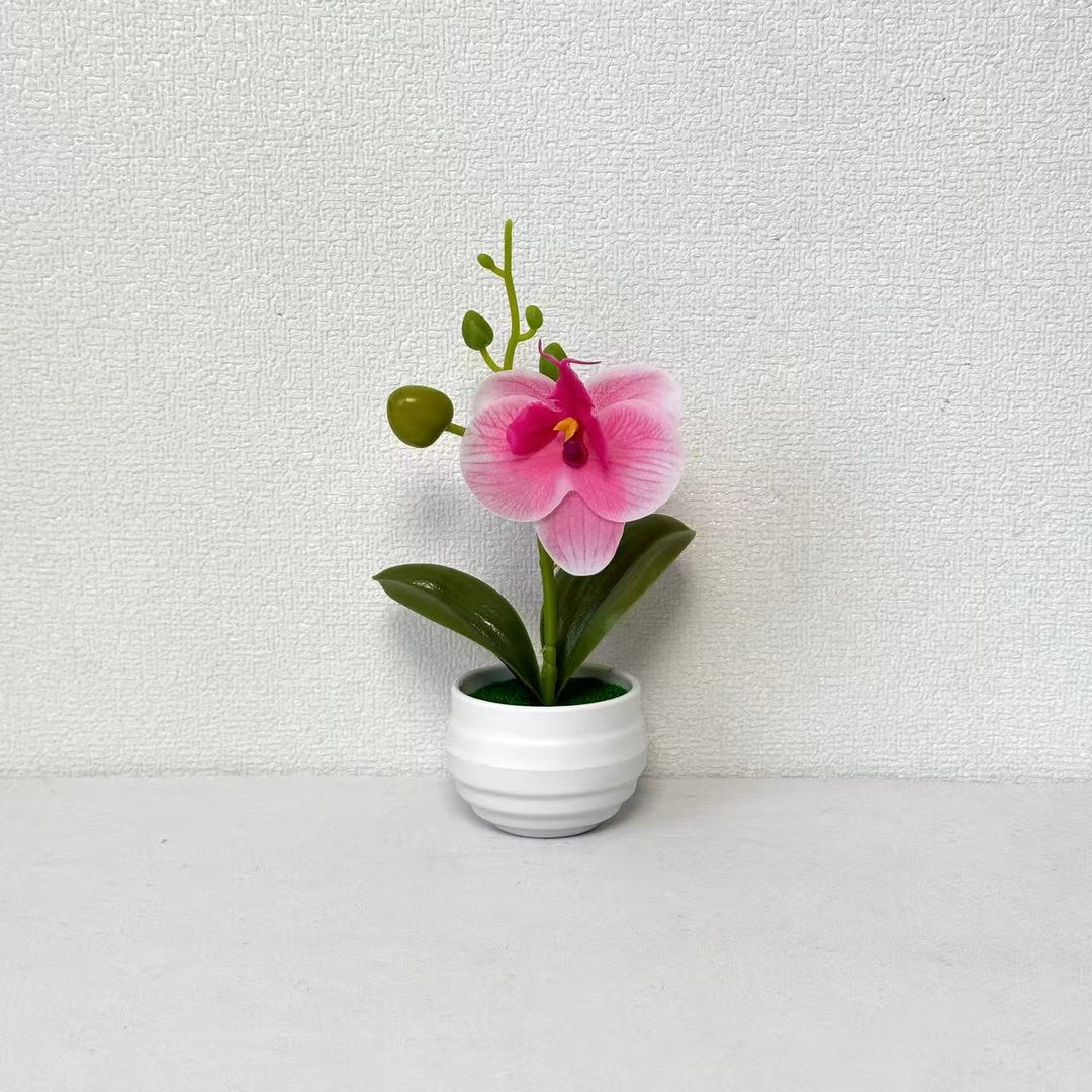 Lebensechte Orchideen Blumenkübel Dekoration