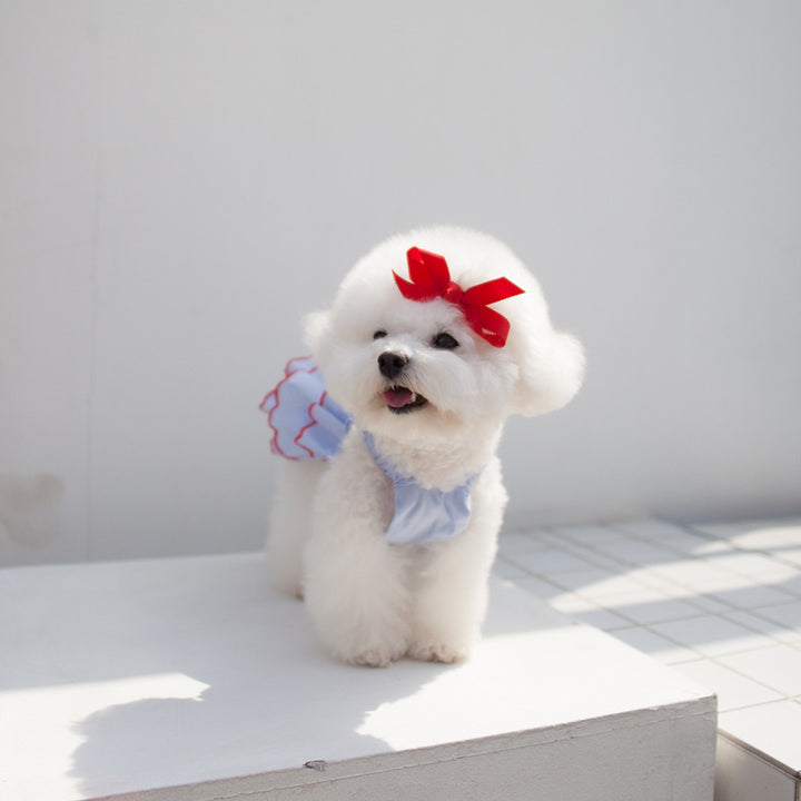 Schichtige Chiffon Rüschenträger-Hundekleid mit elastischem Rücken und Kontrastbesatz