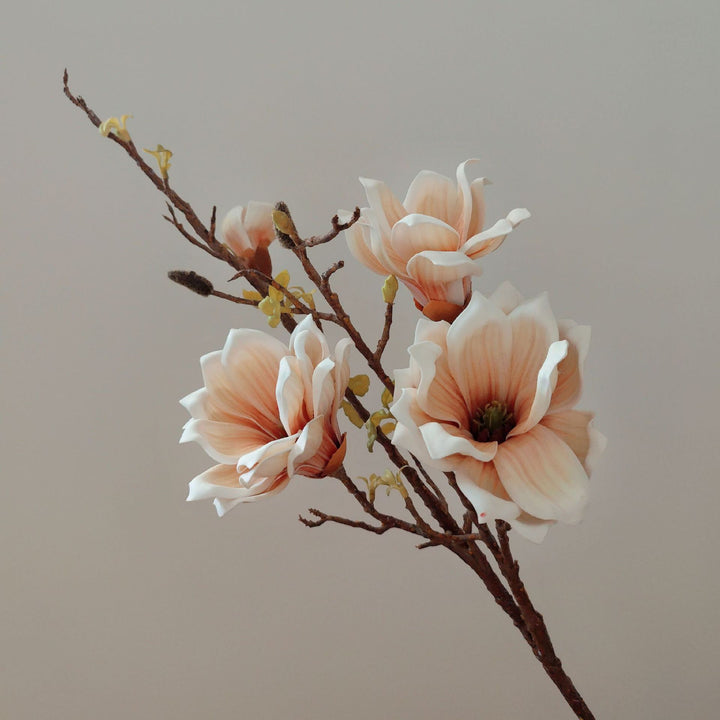 Elegante florale Stielanordnung