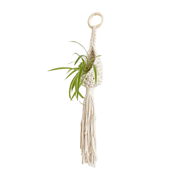Bohemian Pflanzenhalter Karnz