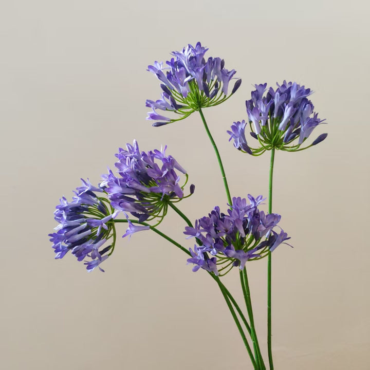 Lebensnahe Botanische Blumenstiel