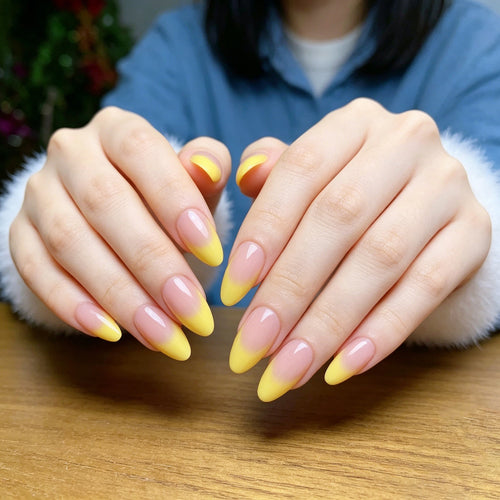 Premium Gradient Acryl Nagelvergrößerungen Karnz