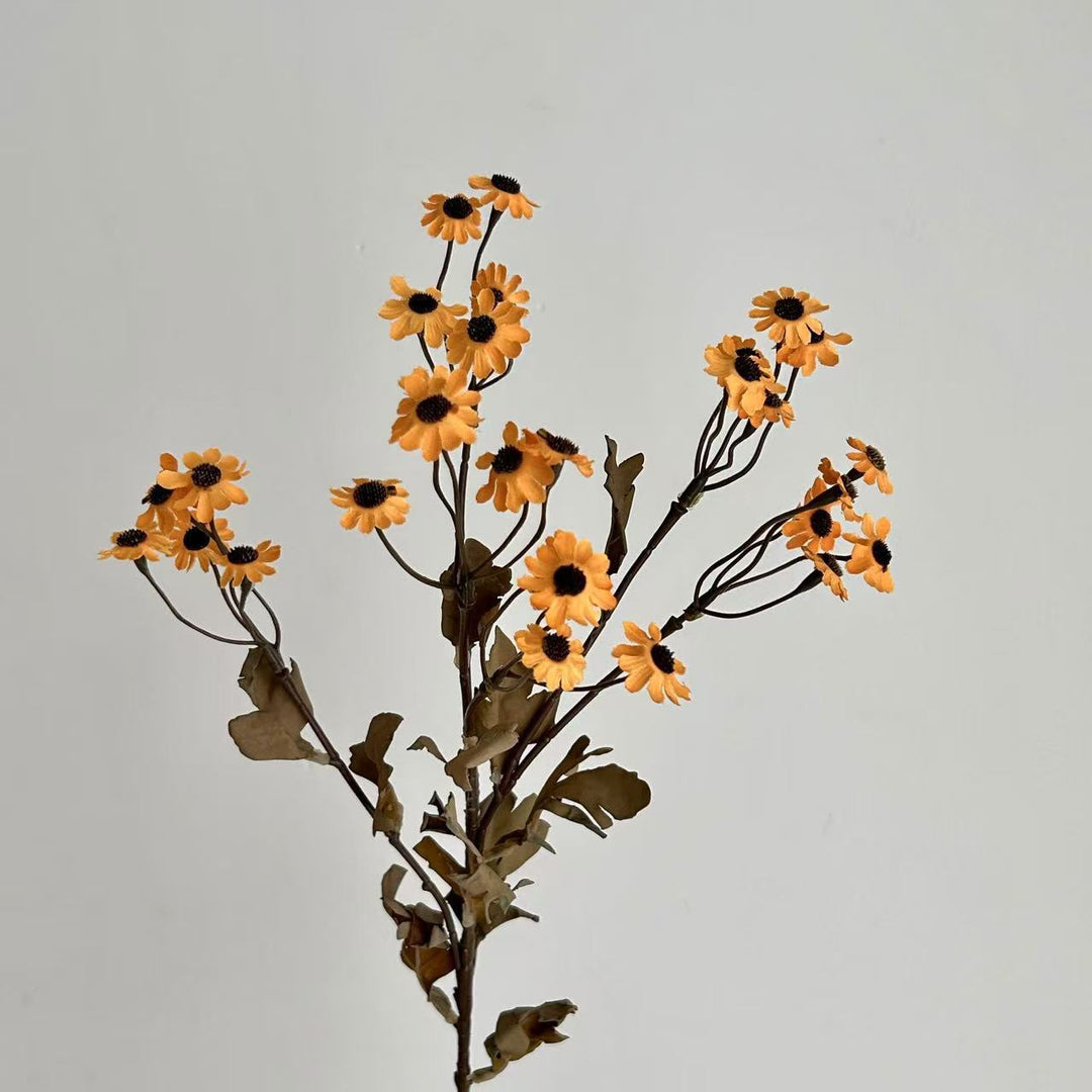Dekorative Trockenblumen Karnz