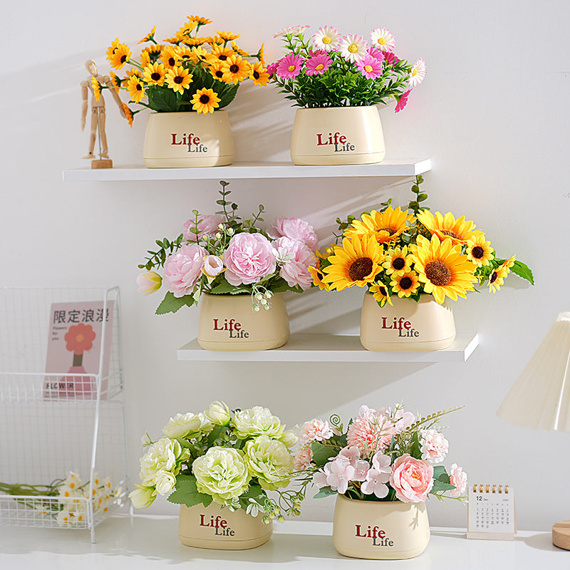 Dekorativer Topfpflanzenscheinblumen-Arrangements