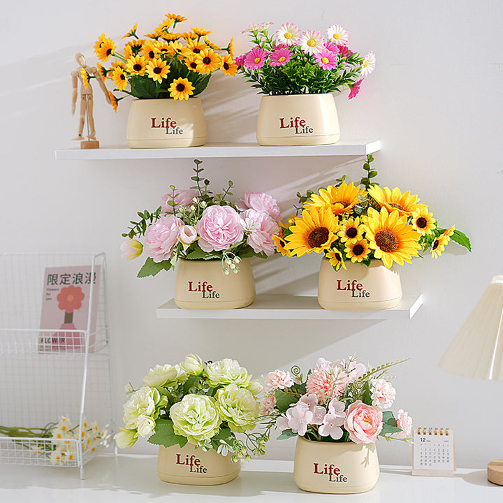 Dekorativer Topfpflanzenscheinblumen-Arrangements