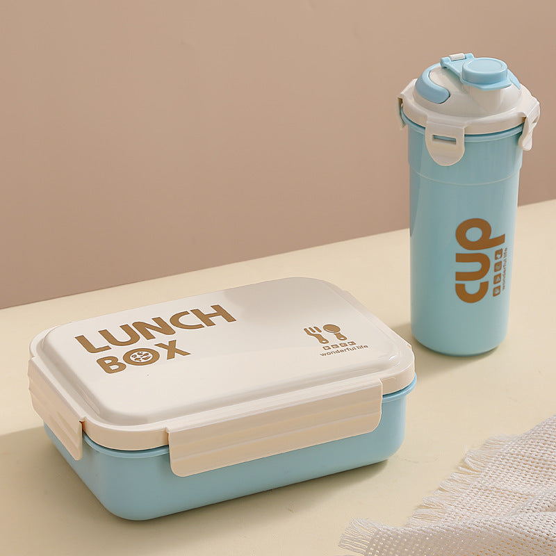 Stylische isolierte Lunchbox
