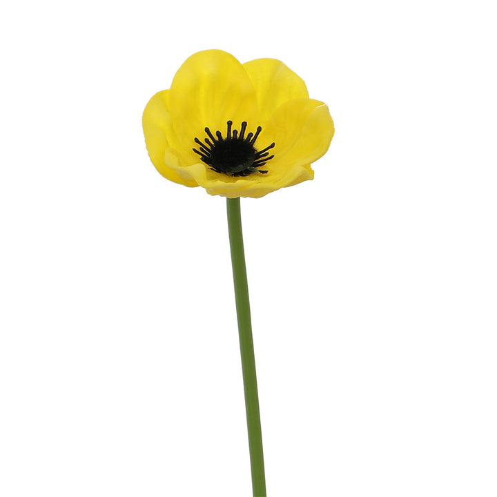Kunstblume Karnz