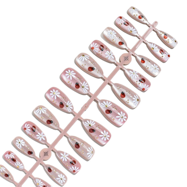 Premium Nail Art Enhancement Kit Karnz