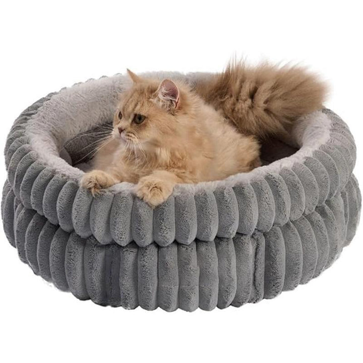 Katze Bett   Hund Bett