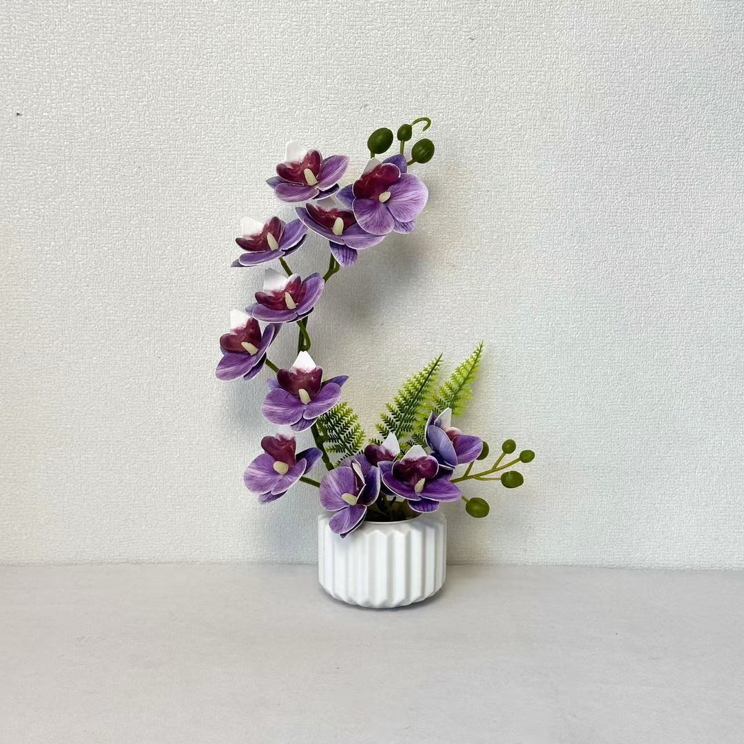Elegante Orchideenblumenarrangement