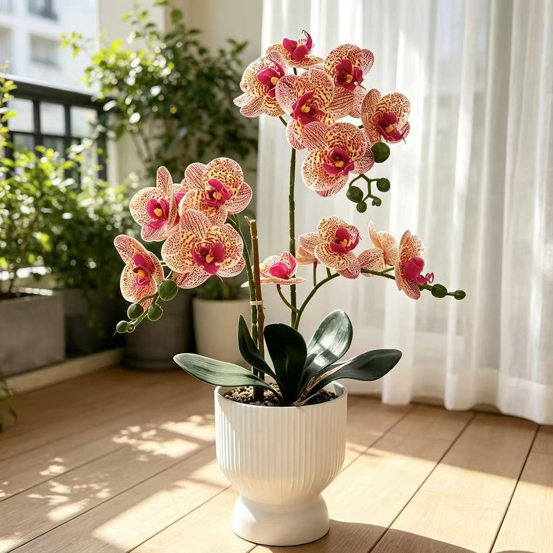 Lebensechte Orchideen Blumen Dekor