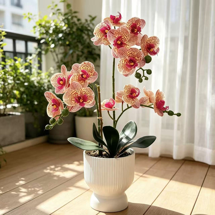 Lebensechte Orchideen Blumen Dekor