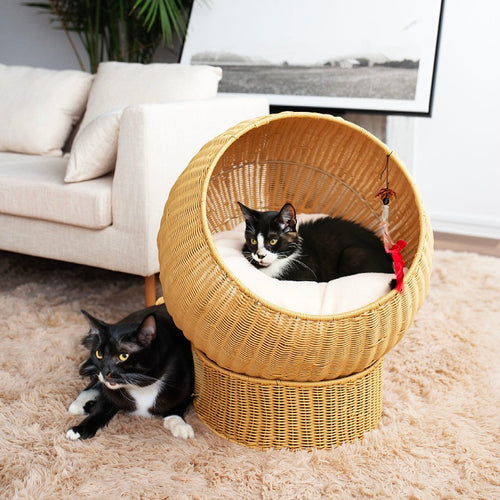 Katzenbett mit Modernem Design Karnz